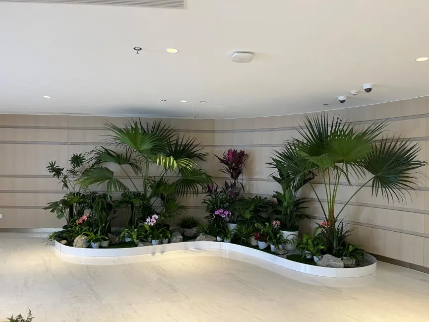 感受宁波江北，植物租摆设计带来的清新体验